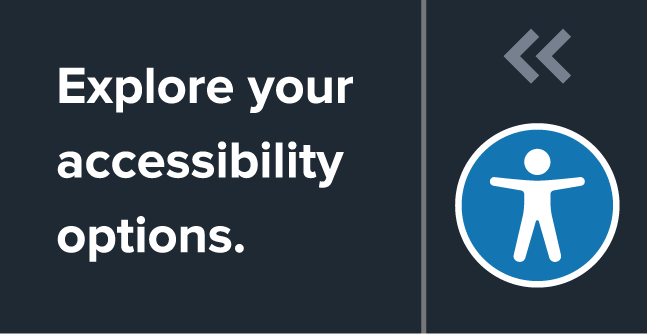 accessibility toolbar