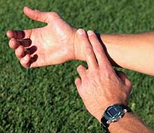 measure your heart rate by taking your pulse taking the pulse